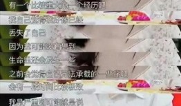 石家庄酸奶爆料事件视频,真相与争议交织